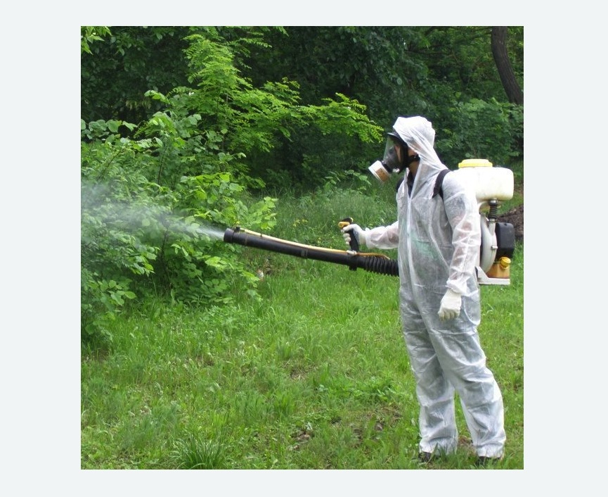 обработка территории от клещей в Кудымкаре