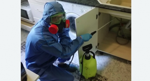 Уничтожение муравьев в квартире. Кудымкар