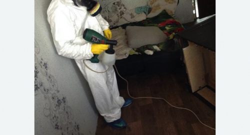 Обработка квартир от насекомых в Кудымкаре