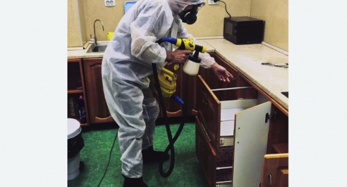 Дезинсекция квартиры. Кудымкар