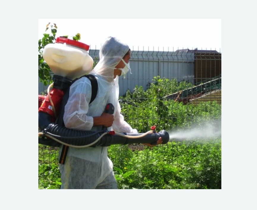 Акарицидная обработка территории в Кудымкаре