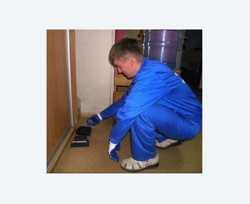 Дератизация крыс в Кудымкаре