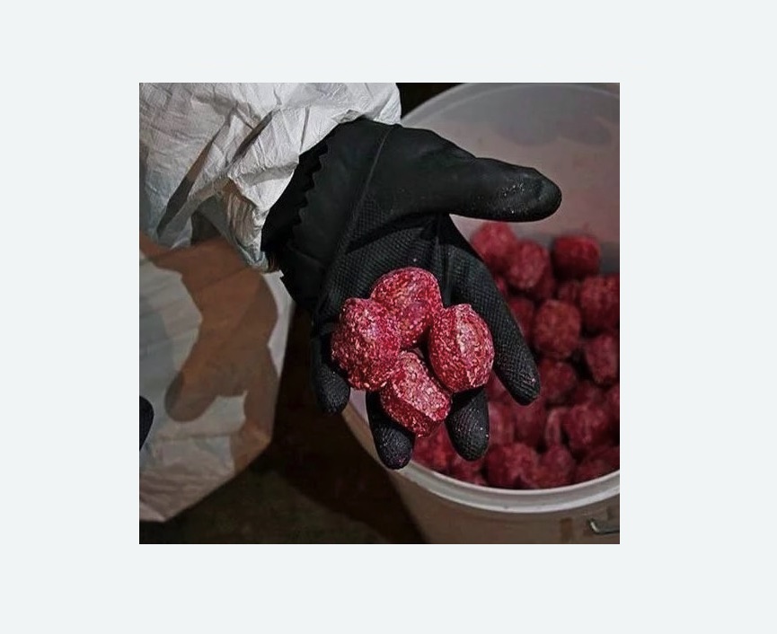 Обработка от крыс в Кудымкаре