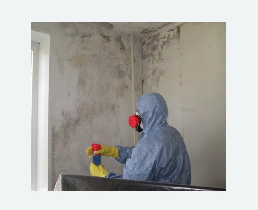 Удаление плесени в квартире в Кудымкаре