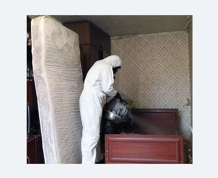 дезинфекция от клопов в Кудымкаре