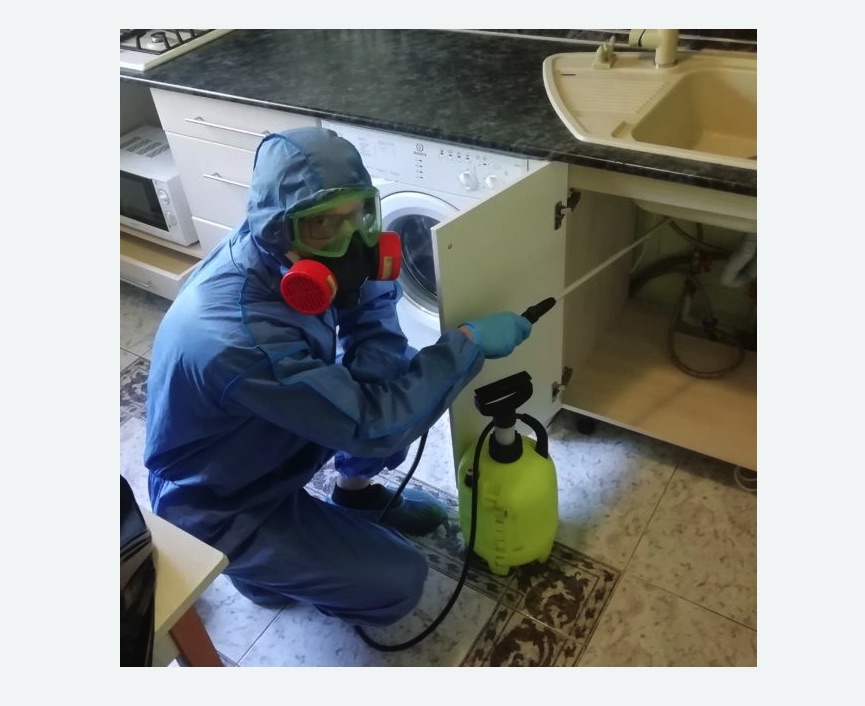 обработка от муравьев в квартире в Кудымкаре