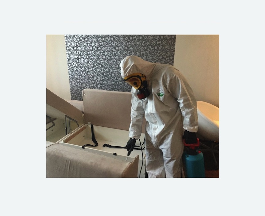 уничтожение клопов в квартире в Кудымкаре