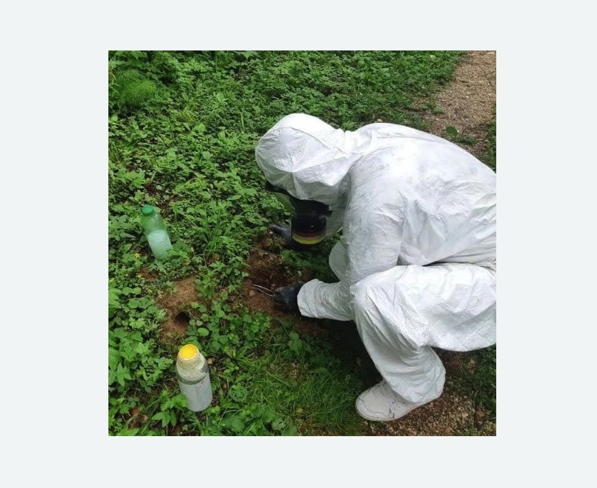 уничтожение кротов на участке в Кудымкаре