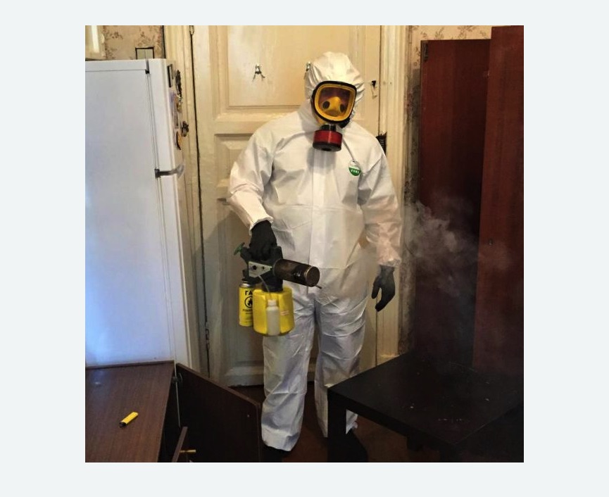 уничтожение муравьев в квартире в Кудымкаре